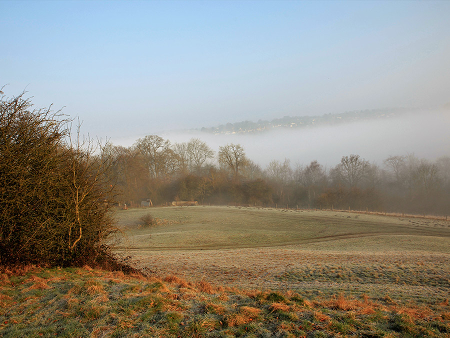 Foggy Autumn Morning