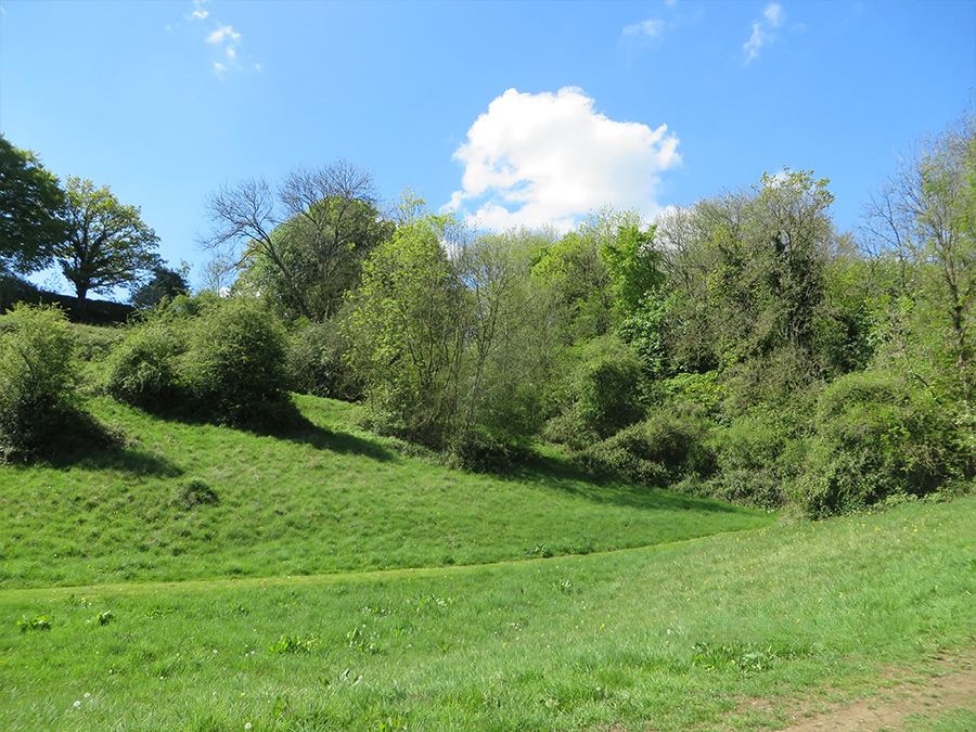 Local Footpath